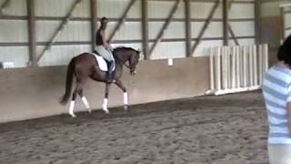 Just Amaze Me dressage