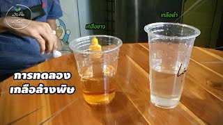 การทดลองสรรพคุณเกลือดำหิมาลายัน ล้างพิษ