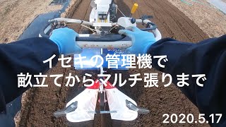 【 野菜作り 】イセキの管理機で畝立てからマルチ張り   2020.5.17