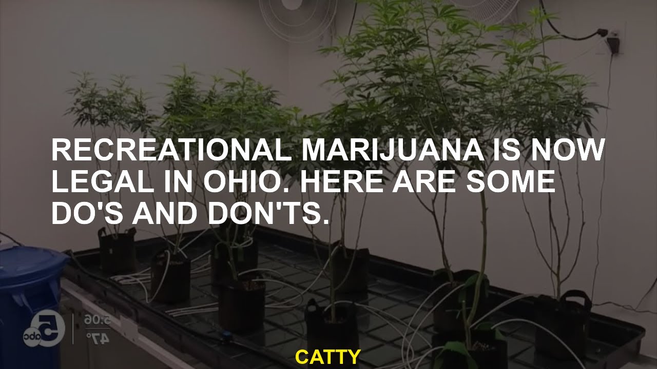 Recreational Cannabis Is No Longer Legal In Ohio. - YouTube