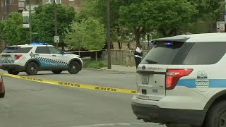 15-year-old girl shot while walking dog in Washington Park | ABC7 Chicago