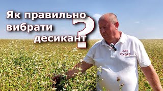 Гречка. Як правильно вибрати десикант?