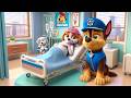 Paw Patrol Ultimate Rescue - Paw Patrol Got Sick? Please Get Well Soon! Very Sad Story - Rainbow 3