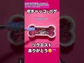 【ポチャッコ】犬レジンシェイカー♡【パグ】 リクエストありがとう ポチャッコ pochacco