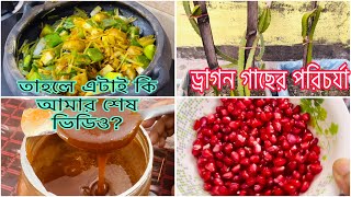 এটাই কি আমার শেষ ভিডিও?  লইট্টা শুটকি দিয়ে শীতের সবজি রান্না /ড্রাগন হয়েছে পরিচর্যা #toufika'sworld