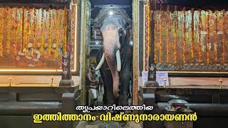 അത്താഴ ശീവേലിക്ക് തൃപ്രയാർ തേവരെ ശീരസ്സിലേറ്റി ഇത്തിത്താനം വിഷ്ണുനാരായണൻ 🥰Ithithanam Vishnunarayanan