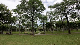 Beautiful Weather Daan Forest Park After A Week Long Rain Stopped [4K] 다안삼림공원