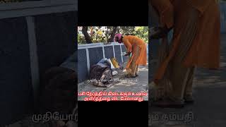 பசி நேரத்தில் கிடைக்கும் உணவு அமிர்தத்தை விட மேலானது #please #subscribe #my #channel #trendingshorts