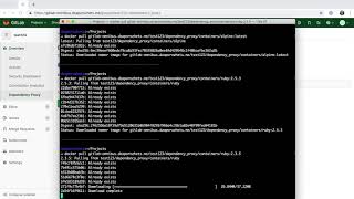 Dependency Proxy for containers. GitLab v11.11