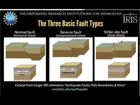 What is the movement of reverse fault?