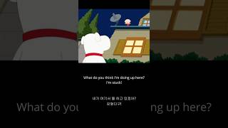 아기가 지붕 위에서 구조 요청하는 법 #familyguy #영어듣기