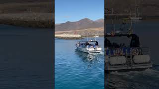 Magic dolphin leaving the harbour of Morro Jable, Fuerteventura 🚤 #boattrip #dolphin #fuerteventura