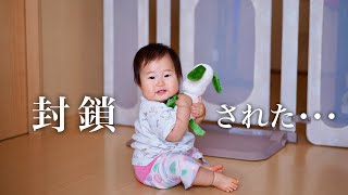 ベビーゲート設置で娘が困惑した日【１歳０ヶ月】