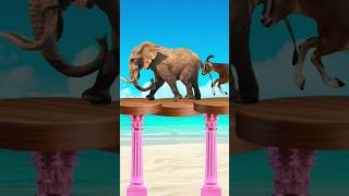 Bakra ghar mein laungi Animal Vfx Video 799 #islamic #vfx #shorts #viral #tjsohail