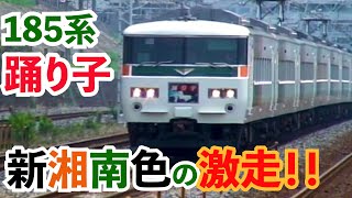【魂に刻め！】爆音の185系特急踊り子通過集！！平成の東海道！！【185系】【113系】