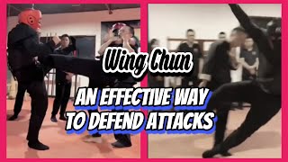 Wing Chun Self-Defense Technique: An Effective Way to Defend Attacks EP 2 #shorts #wingchun  #KungFu