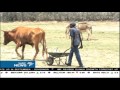 Zimbabwe's Human rights condemns denial to food access for citizens