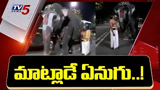 మాట్లాడే ఏనుగు..! | Elephant Speaking with Mavati | TV5 News