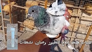 هوايتي ممتعه / شباب صيد اليوم 1 تاره بزرك لبخ 😊 شباب جبت علاج لطيور ورجعن طيور نشطات 🫡 شوفو فيديو 🫡😊