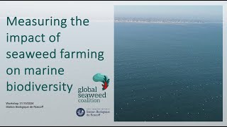 Measuring the impact of seaweed farming on marine biodiversity