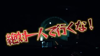 【心霊スポット】 夜中一人でドライブ 【野間トンネル】