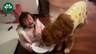 The Dog Started a Snack Battle with the Little Owner