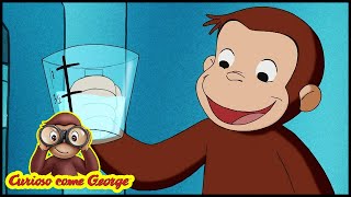 Curioso come George 🐵Un Ospite Molto Ordinato 🐵 Cartoni Animati per Bambini 🐵 Stagione 4