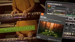 Mystical Forest—Thiago Pinheiro jam with the Mystique for String Studio VS-3 and AAS Player