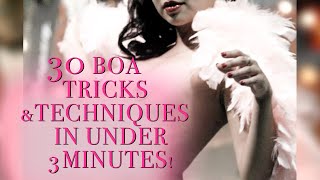 30 Boa Tricks \u0026 Transitions Under 3 Minutes