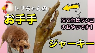 インパクト大！ちょっと変わったお犬のオヤツを紹介【トイプードルモカ】【羊カット】【お手手ジャーキー】