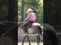 How To Teach a Horse To Spin