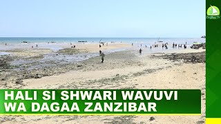 HALI SI SHWARI WAVUVI WA DAGAA ZANZIBAR