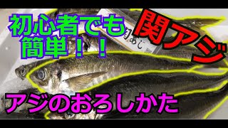 【高級ブランドあじ　関アジ】でお刺身