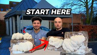 Don’t Start a Mushroom Business in 2026 Without Watching This