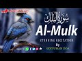 Relaxing Most Peaceful Recitation of Surah Mulk - سورة الملك |SENTUHAN DOA