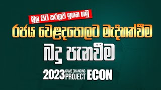 බදු පැනවිම | රජය වෙළදපොලට මැදිහත්වීම | Econ