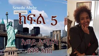 አወይ አማሪካ ክፍል 5