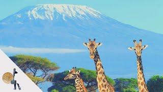 Tanzania: trekking sul Kilimangiaro e Safari