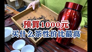 预算1000元，买什么茶性价比最高？这款茶是潮汕老茶客公认最爱