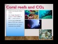 4.4 Climate Change (IB Biology) (Part 3)