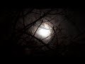 Fool moon rising! Does full  moon really make you crazy?