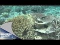 Indonesia Bagus - Pulau Banyak, Surga di Ujung Indonesia