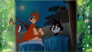 Scooby-Doo!,Tom and Jerry,Looney Tunes,Bugs Bunny,Compilation,C(2)