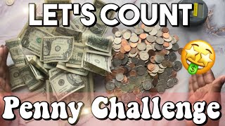 SAVING CHALLENGE FOR SMALL BUDGETS! COUNTING THE PENNY CHALLENGE! COUNT MONEY WI