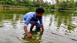 🐟simple hand fishing 🐟രണ്ട് വടി കൊണ്ടൊരു മീൻ പിടുത്തം 🐟#village #traditional