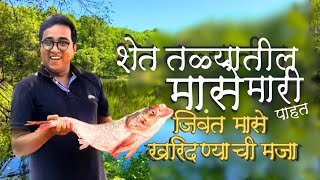 अबब! किती मोठे मासे!! शेततळ्यांतील मत्स्य पालन आणि पारंपारिक मासेमारी | Vasai pond fishing