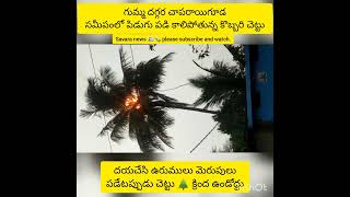 ఉరుములు మెరుపులు పడేటప్పుడు చెట్టు 🌲 క్రింద ఉండోద్దు 🙏🙏🙏🙏🙏🙏