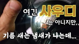 싼타페! 기름 냄새가 솔솔 나는데... 찾을수가 없다.(feat. smoke tester for evap leak)