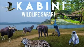 Kabini River Lodge - JLR | Maharaja Cottage stay | Kabini Wildlife Safari | Nagarhole Tiger Reserve