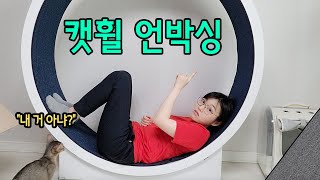 캣휠 리뷰! 빵이의 감당할 수 없는 체력을 위하여 구매.